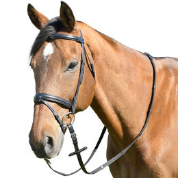 Pferdezaum mit Zügeln Kincade Classic – Bild 1 von 2