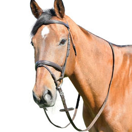 Pferdezaum mit Zügeln Kincade Classic – Bild 1 von 2