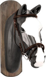 Produktbild von Pferdezaumzeug mit Baumwollzügeln Derby