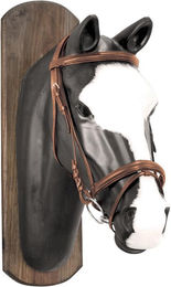 Produktbild von Pferdezaumzeug mit Baumwollzügeln Derby