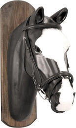 Produktbild von Pferdezaumzeug mit Baumwollzügeln Derby