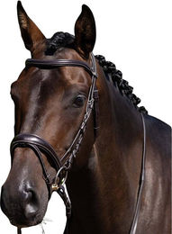 Produktbild von Pferdezaumzeug Premier Equine Cassano