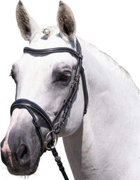 Produktbild von Pferdezaumzeug Premier Equine Cassano