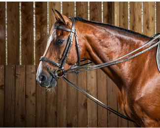 Produktbild von Pferdezügel aus Leder Dy'on Hunter 1/2