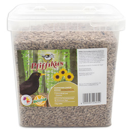 Produktbild von Pfiffikus Sonnenblumenkerne schalenlos - 3 kg