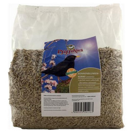 Produktbild von Pfiffikus Sonnenblumenkerne schalenlos - 2,5 kg