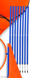 Produktbild von PfotenWunder 10x Agility-Slalom-Set Profi für große Hunde