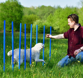 Produktbild von PfotenWunder Agility-Slalom 10x Slalom-Stangen, Profi-Agility-Set für kleine & große Hunde, (10-tlg)