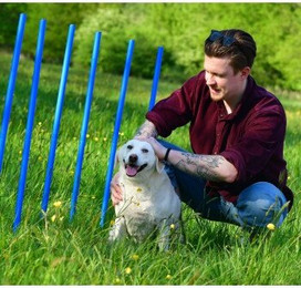 Produktbild von PfotenWunder® Profi-Agility-Slalom-Set 10x Slalomstangen groß