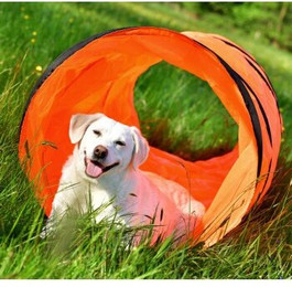 Produktbild von PfotenWunder Profi-Agility-Tunnel 3 Meter - 3 m