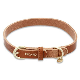 Picard Hundehalsband S aus Echtleder – Bild 1 von 3