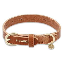 Picard Hundehalsband SUSI aus Echtleder Größe XS – Bild 1 von 3