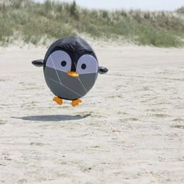 Produktbild von Pinguin-Wetterfahne HQ Kites Birdeez