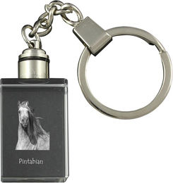 Produktbild von Pintabian - Crystal pendant with photo of a horse, illuminated pendant, unique gift by Art-Dog brand transparent