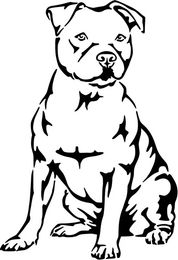 Produktbild von Pitbull Grafiklizenz