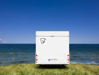 Produktbild von Pitbull Kopf Auto Wohnmobil Aufkleber