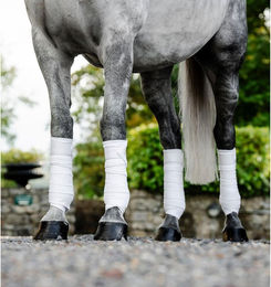 Produktbild von Polobänder für Pferde Horseware