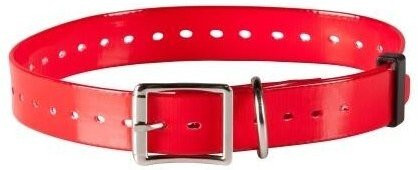 Produktbild von Polyurethan-Gurt Num'axes Red