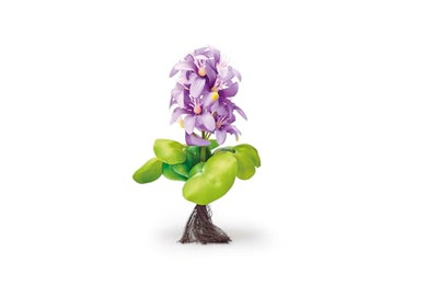 Produktbild von Pontec PondoHyacinth Blooming