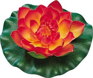 Produktbild von Pontec PondoLily schwimmende Seerose orange