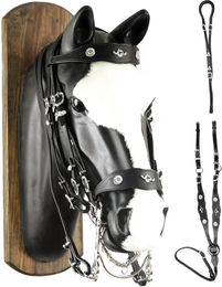 Produktbild von Portugiesisches Reithalfter mit Brust- und Hintergurt JM