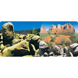 Poster 2 Seiten 1 Rolle mit 15 Metern Höhe 40 cm Reptiles Planet Desert Terrarium – Bild 1 von 7