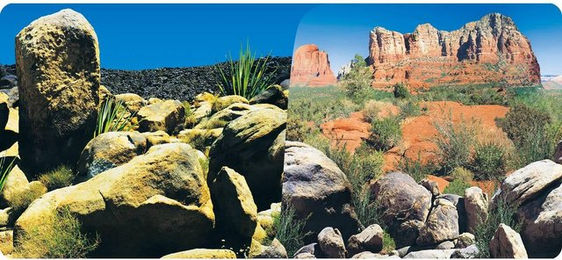 Produktbild von Poster 2 Seiten 1 Rolle mit 15 Metern Höhe 60 cm Reptiles Planet Desert Terrarium