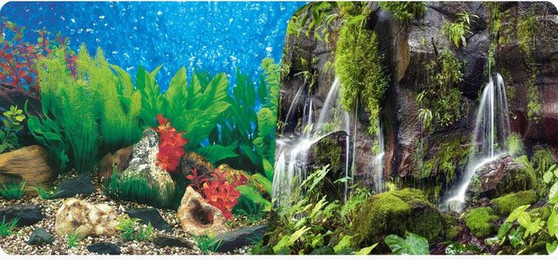 Produktbild von Poster 2-seitig 1 Rolle à 15 Meter Reptiles Planet Waterfall Aquarium/Terrarium