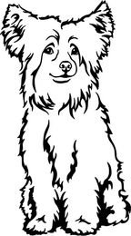 Produktbild von Powder Puff Grafiklizenz