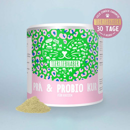 Produktbild von Prä & Probio Kur Katze - 80 g