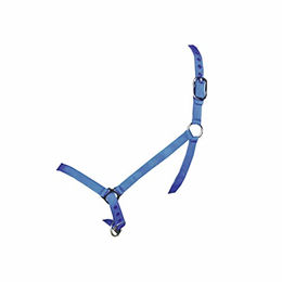 Produktbild von Präsentationshalfter Kerbl