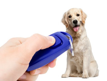 Produktbild von PRECORN 2in1 Klicker und Hunde-Pfeife blau