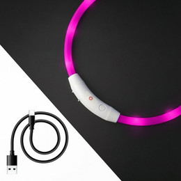 Produktbild von PRECORN LED Hunde-Halsband aus Silikon, aufladbar per USB-C, individuell kürzbar - 1 Stk.