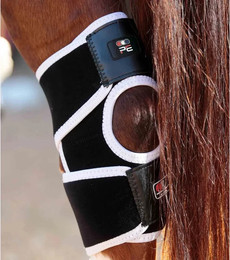Produktbild von Premier Equine Magnetische Knieschützer für Pferde Magni-Teque