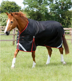 Produktbild von Premier Equine Outdoor-Decke Turnout Rug 450 g - 450 g