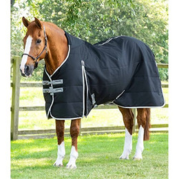 Produktbild von Premier Equine Stalldecke Lucanta 100 g - 100 g