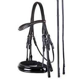 Premiere Kandarenzaum Paris – Bild 1 von 2