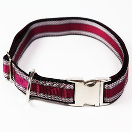 Produktbild von Premium Hundehalsband Alu-Max® Muster