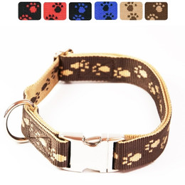 Produktbild von Premium Hundehalsband Alu-Max® Pfötchen