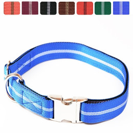 Produktbild von Premium Hundehalsband "Alu-Max®" Streifen