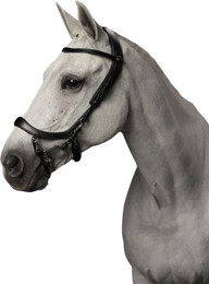 Produktbild von PresTeq FaySport Zaumzeug Cob