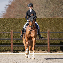 Produktbild von PresTeq Fliegenhaube PerformNow