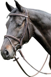 Produktbild von PRESTIGE Bombierte Trense mit Dekor, tobacco - Warmblut