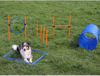 Produktbild von Procyon Agility-Hürde Dog Agility Starter Set