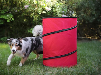 Procyon Agility-Hürde Hoopers Tonne für Hundesport, Hundetraining ohne Sprünge, Agility, Strukturgewebe, (2-tlg) – Bild 1 von 3