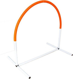 Produktbild von Procyon Agility-Slalom Hoopers für Hundetraining