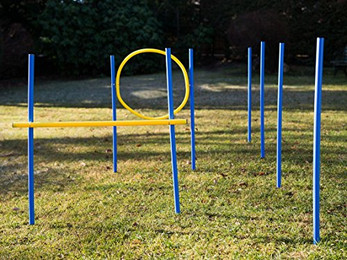 Produktbild von Procyon Agility-Slalom Hundetraining Set