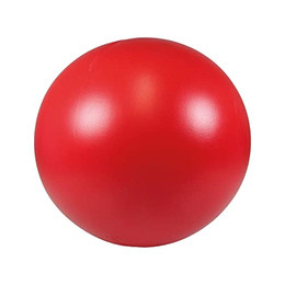 Produktbild von Procyon Treibball 25 cm Rot