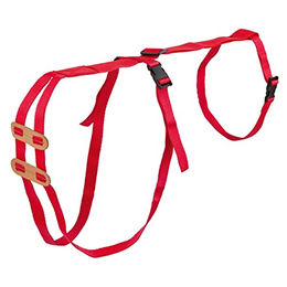 Prolapsband für Schafe Kerbl – Bild 1 von 3