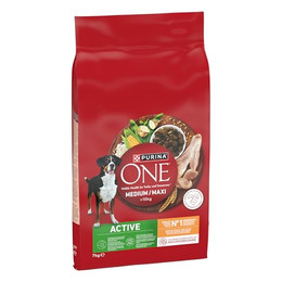 Produktbild von PURINA ONE Medium/Maxi Active Huhn - 7 kg